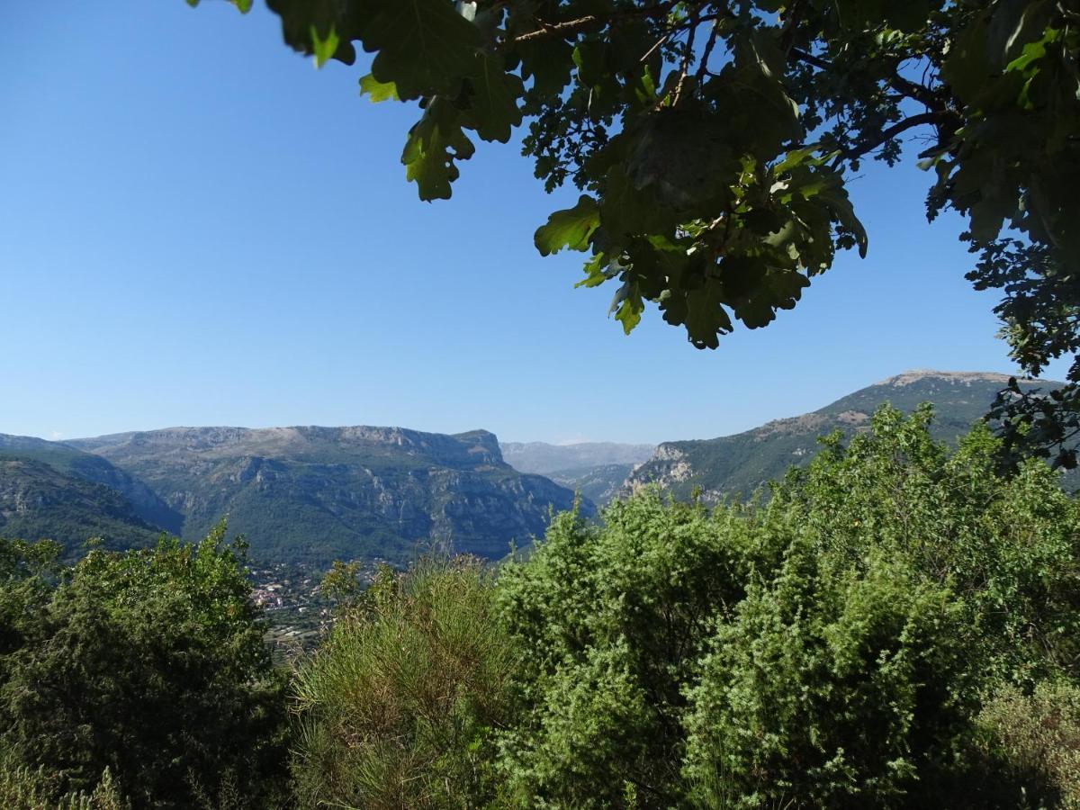 Luva D'Azur, Rez De Villa Le Riou - Le Vallon Le Bar-sur-Loup Exteriér fotografie