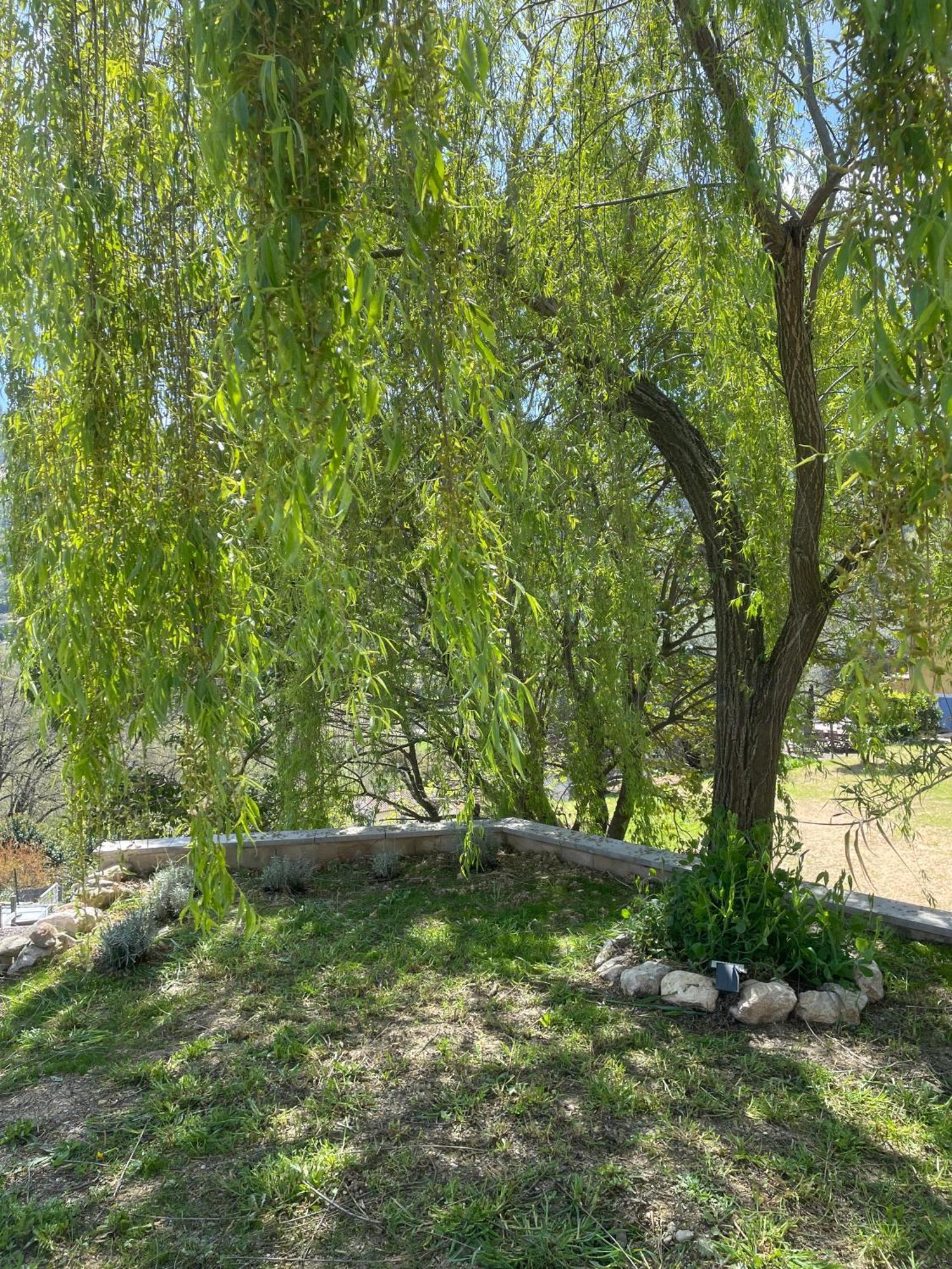Luva D'Azur, Rez De Villa Le Riou - Le Vallon Le Bar-sur-Loup Exteriér fotografie